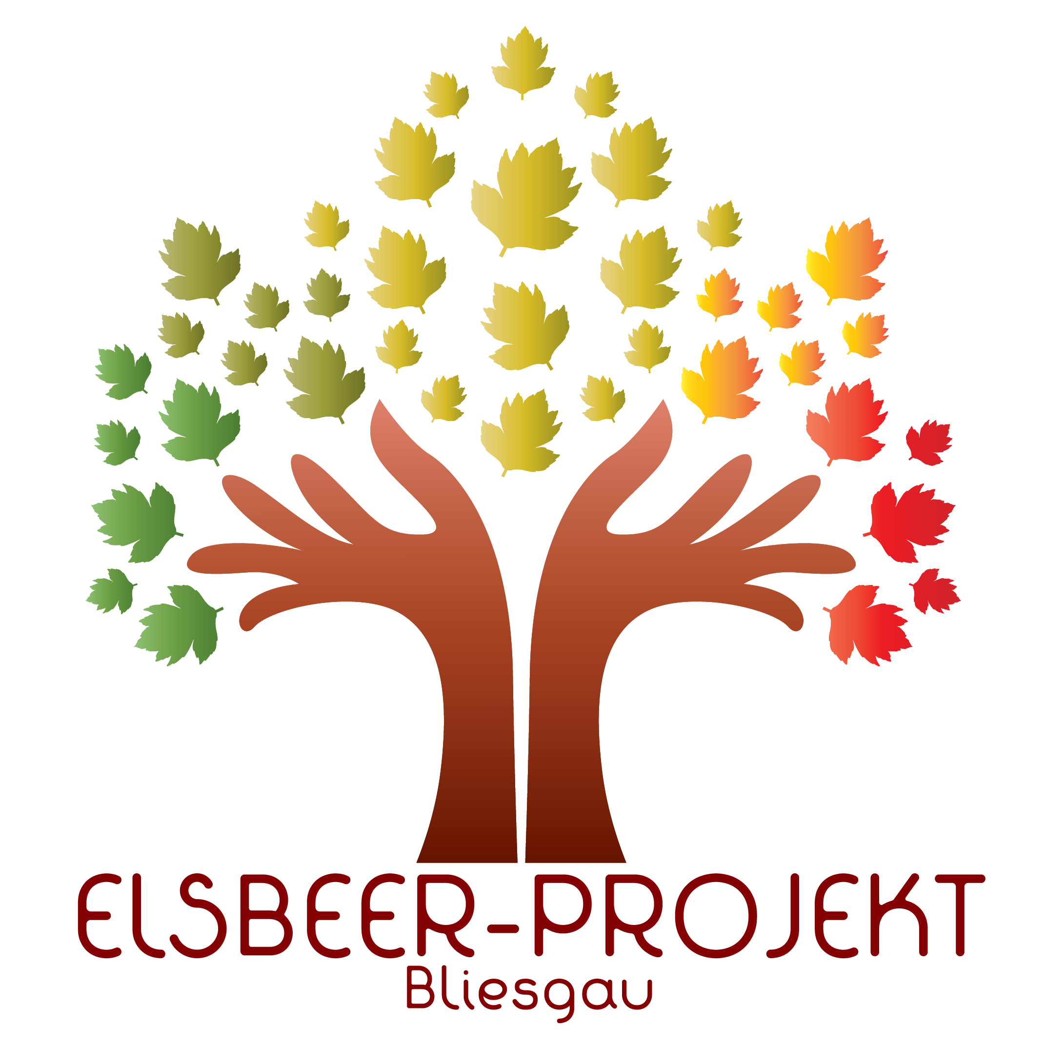 Elsbeer-Projekt Bliesgau